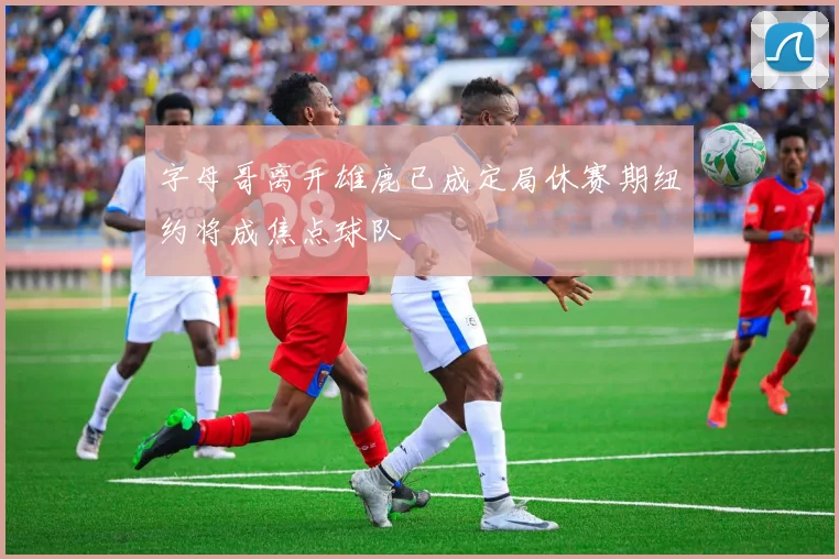 字母哥离开雄鹿已成定局休赛期纽约将成焦点球队