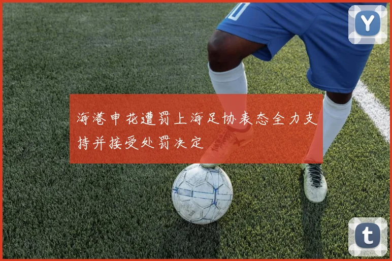 海港申花遭罚上海足协表态全力支持并接受处罚决定